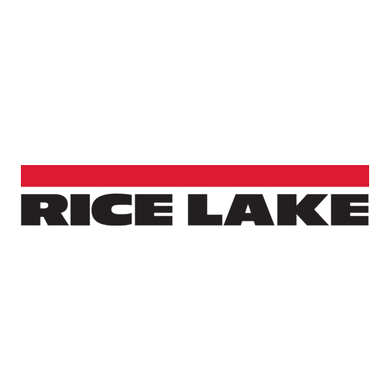 Rice Lake 482 Bedienungsanleitung