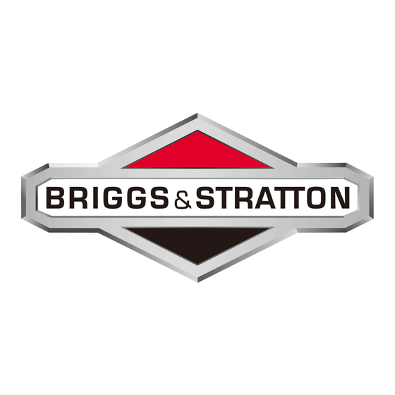 Briggs & Stratton 100600 Bedienungsanleitung