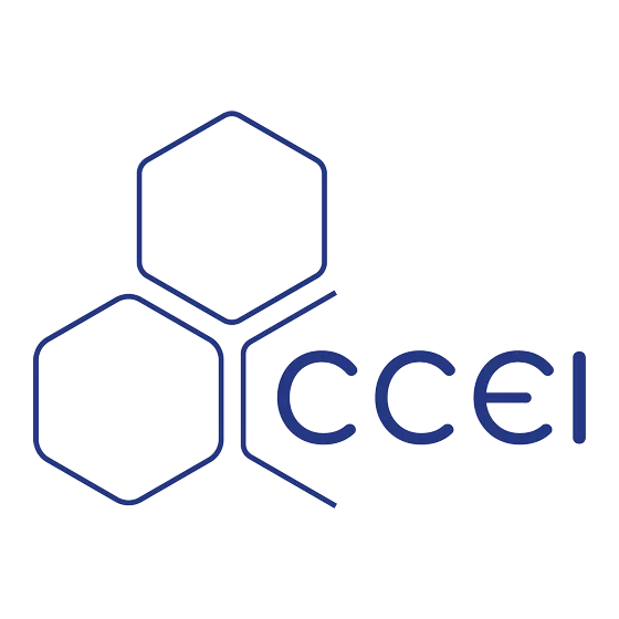 ccei WOM20 Betriebsanleitung