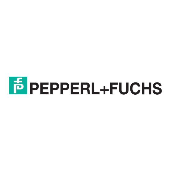 Pepperl+Fuchs 3RG623 Betriebsanleitung