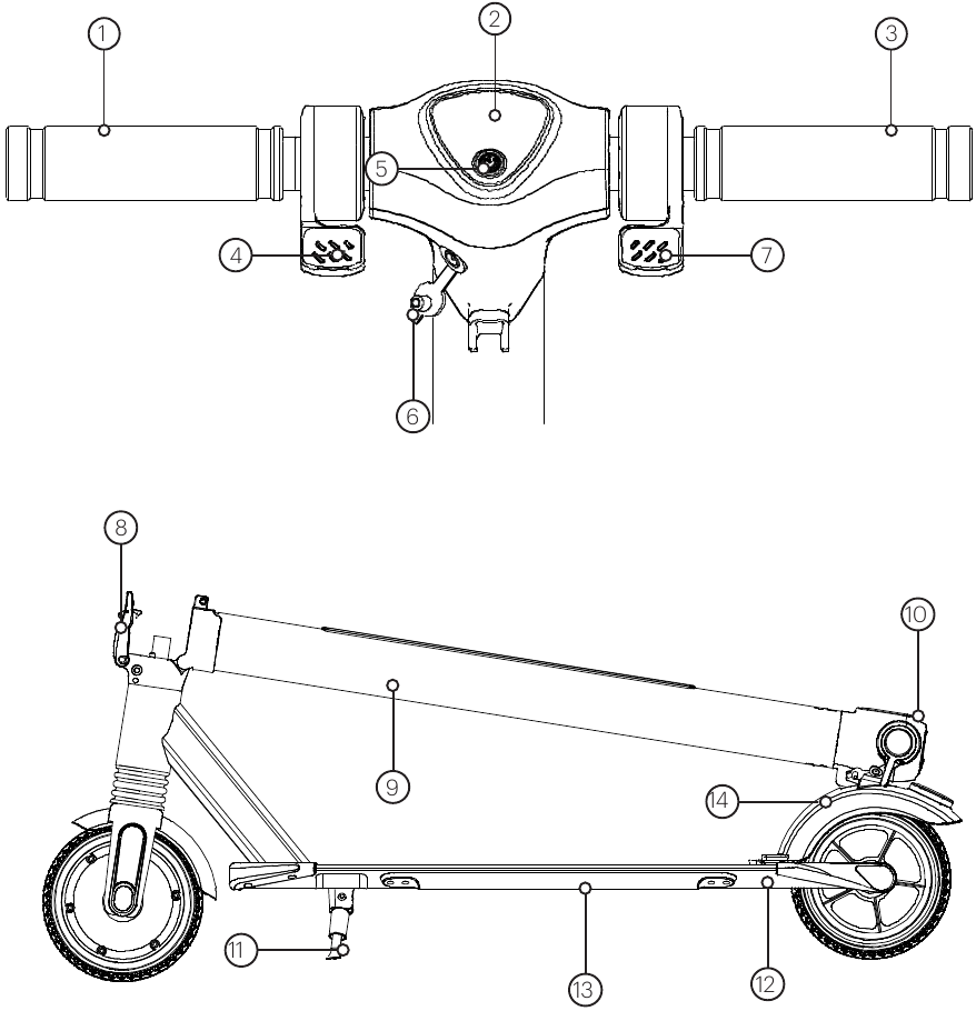 DIAGRAMM