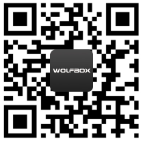 WhatsApp Symbol
