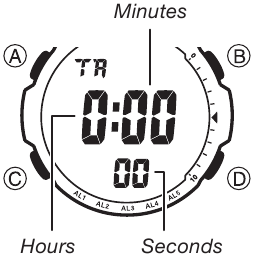 Countdown-Timer-Anzeige