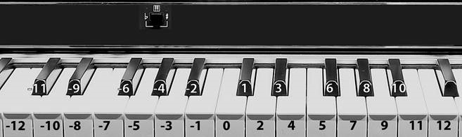 BEDIENFELD: TRANSPOSITION