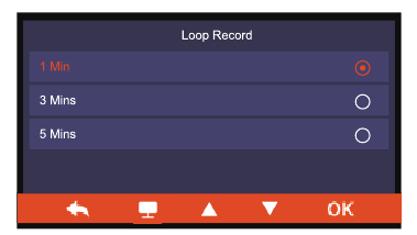 Loop Record