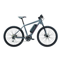 Cannondale Kinneto Handbuch