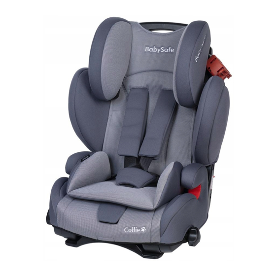 BabySafe Collie Anleitung