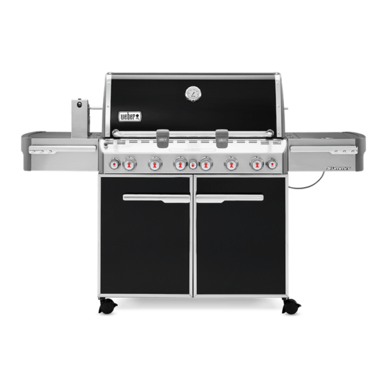 Weber Summit 670 Montageanleitung