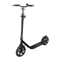 GLOBBER FLOW FOLDABLE Bedienungsanleitung