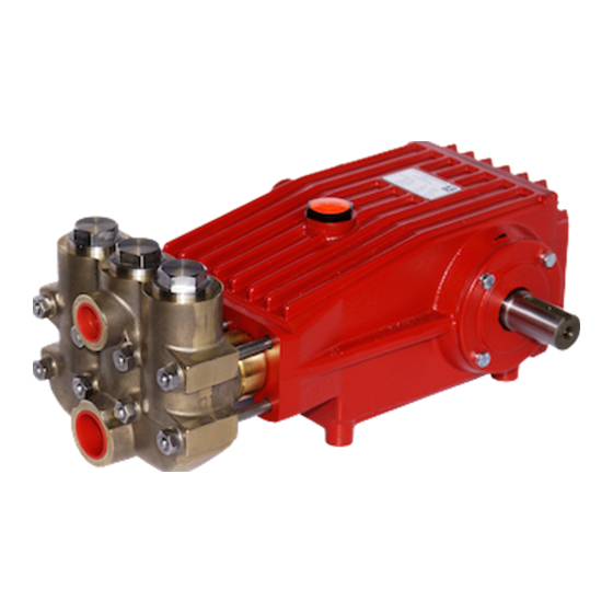 Speck P45/60-250 Betriebsanleitung