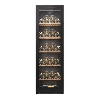 Haier HWS247GGU1 Bedienungsanleitung