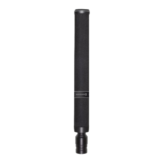 Beyerdynamic Classis RM 30 Produktinformation