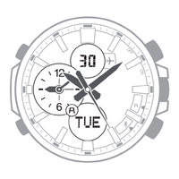 Casio 2.0W-H3PTZ-DC20 Handbuch