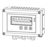 Endress+Hauser RIA46 Betriebsanleitung