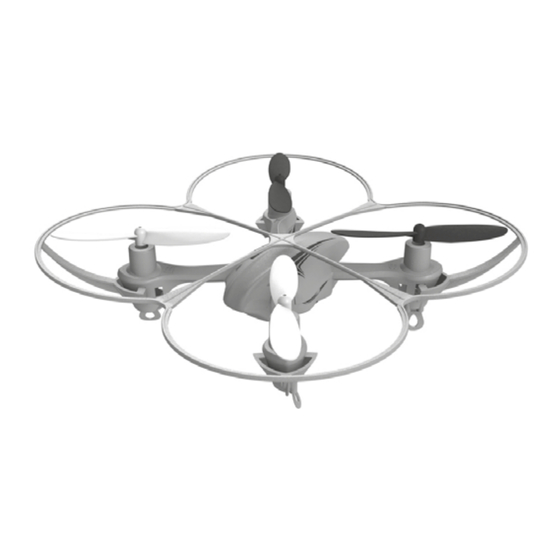 DELTA-SPORT IAN 283163 Gebrauchsanweisung