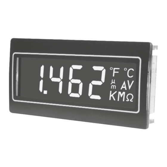Trumeter DPM951 Bedienungsanleitung