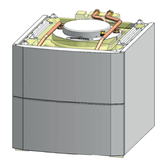 REMEHA 100 HL Installations-, Bedienungs- Und Wartungsanleitung