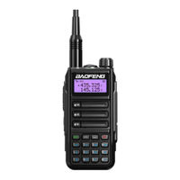 Baofeng RF33 Bedienungsanleitung