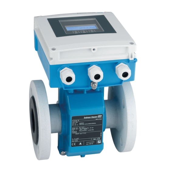 Endress+Hauser Promag 400 Bedienungsanleitung