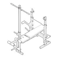 Icon Weider 245 WEEVBE3296.0 Bedienungsanleitung