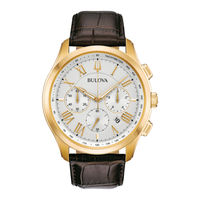 Bulova WB100 Serie Einstell- Und Pflegeanleitung