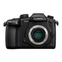Panasonic Lumix DC-GH5 Bedienungsanleitung