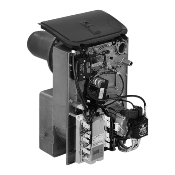 Viessmann VITOFLAME 100 Montageanleitung