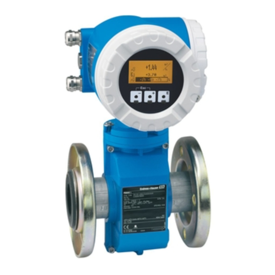Endress+Hauser Proline Promag 53 Betriebsanleitung