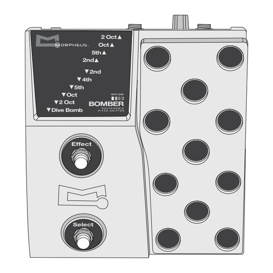 Morpheus Bomber Polyphonic Pitch Shifter Bedienungsanleitung