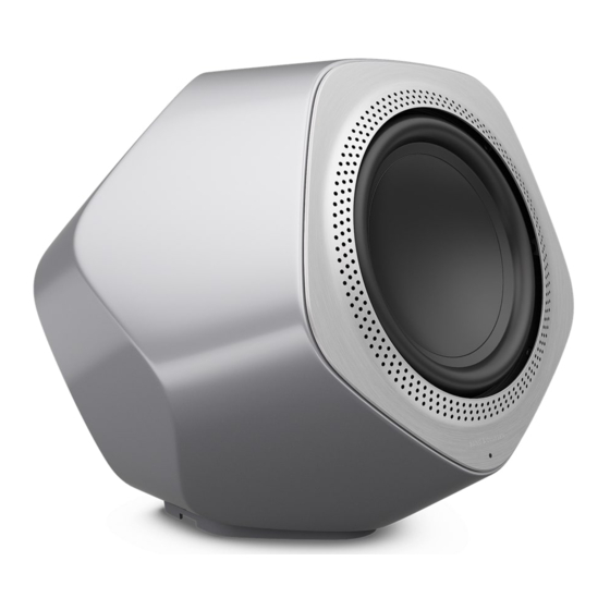 Bang Olufsen BEOLAB 19 Handbuch