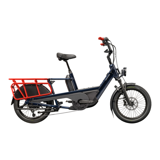 Cannondale Cargowagen Neo Ergänzung Zum Benutzerhandbuch