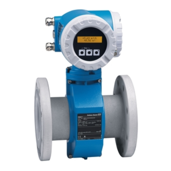 Endress+Hauser Promag 50 Installationsanleitung