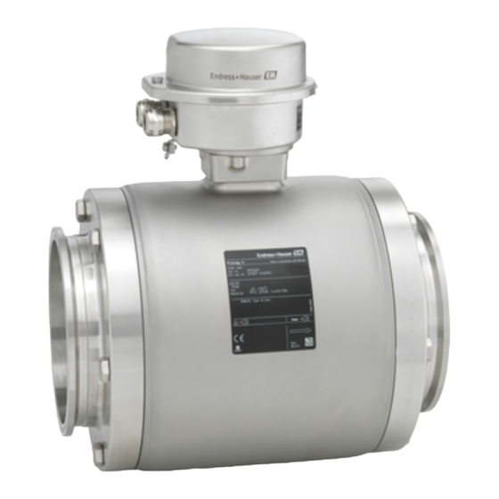 Endress+Hauser Proline Promag H 100 Betriebsanleitung