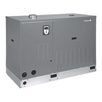 DriSteem GTS-100 Installations-, Bedienungs- Und Wartungsanleitung