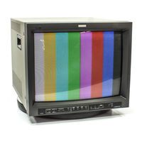 Jvc TM-H1750CG Bedienungsanleitung
