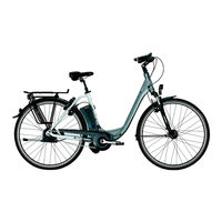 Derby cycle Impulse 2.0 Ergo Originalbetriebsanleitung