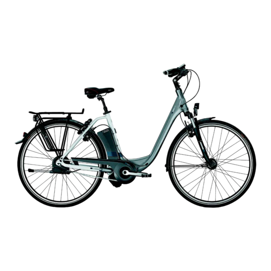 Derby cycle Impulse 2.0 Ergo Originalbetriebsanleitung