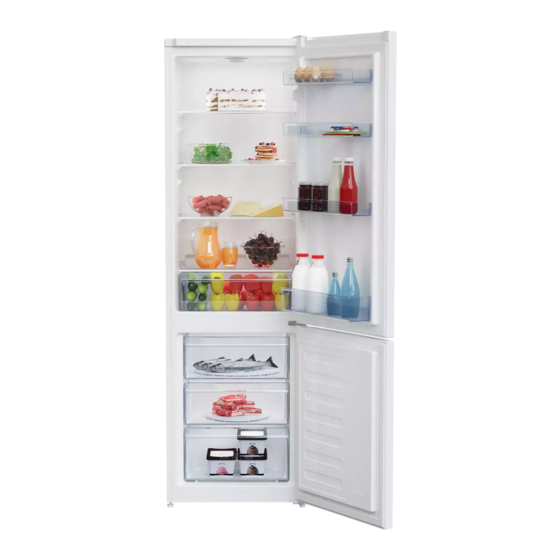 Beko RCSA300K20W Handbuch