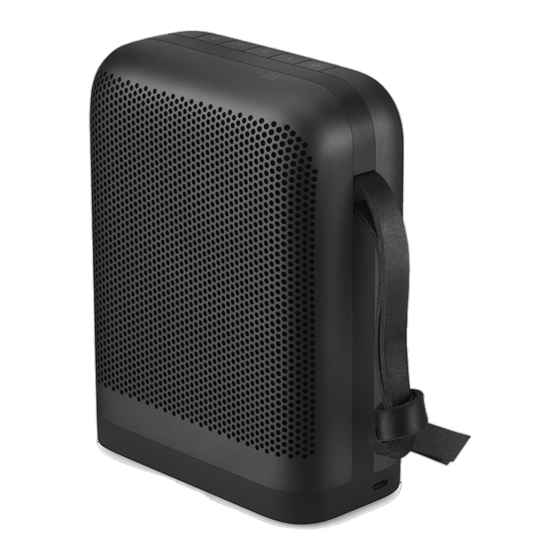 Bang & Olufsen Beoplay P6 Bedienungsanleitung