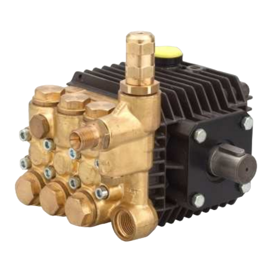 Interpump Group MISTING Serie Bedienungsanleitung