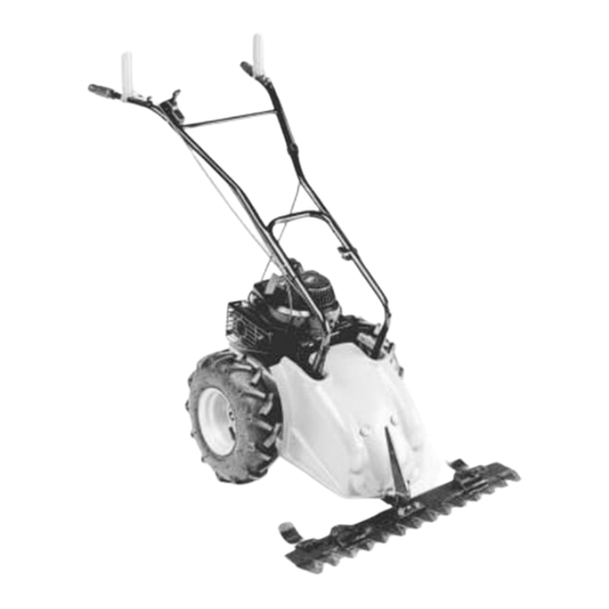 Benassi F 170B Bedienungsanleitung