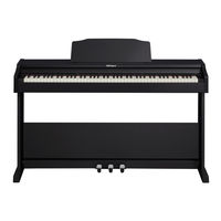 Roland RP102 Bedienungsanleitung