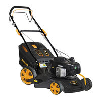 Riwall PRO RPM 4630 BX Übersetzung Der Originalanleitung