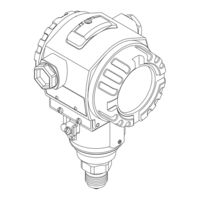Endress+Hauser Cerabar S PMP71 Low Power Betriebsanleitung