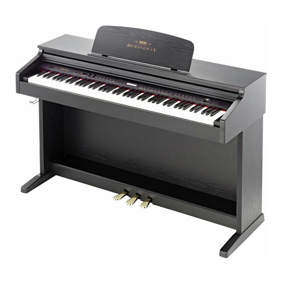 Hemingway DP-501 MKII Bedienungsanleitung