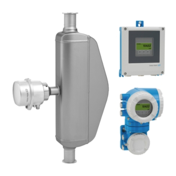 Endress+Hauser Proline Promass S 500 Betriebsanleitung