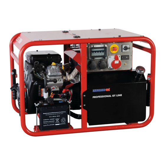 Endress ESE 1006 DBS-GT Bedienungsanleitung