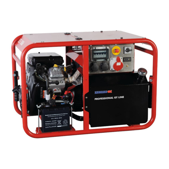 Endress ESE 1006 DBS-GT Originalbetriebsanleitung