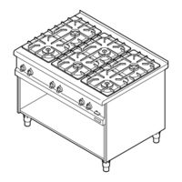 Salvis PLGGH - PL881056 Originalbetriebsanleitung