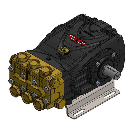 Interpump Group 47 Serie Bedienungsanleitung